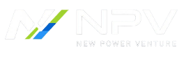 NPV — New Power Venture
